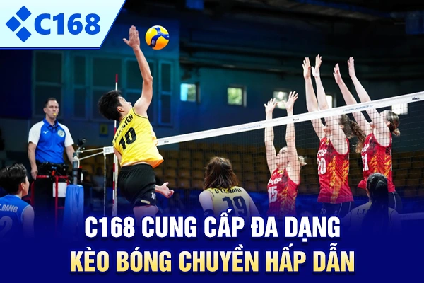 C168 cung cấp đa dạng kèo bóng chuyền hấp dẫn