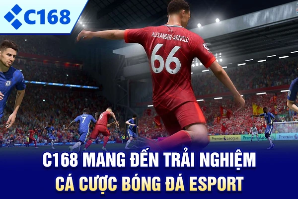 C168 mang đến trải nghiệm cá cược bóng đá Esport