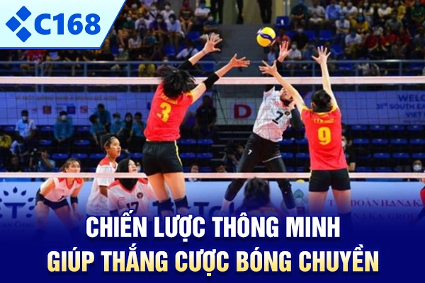 Chiến lược thông minh giúp thắng cược bóng chuyền