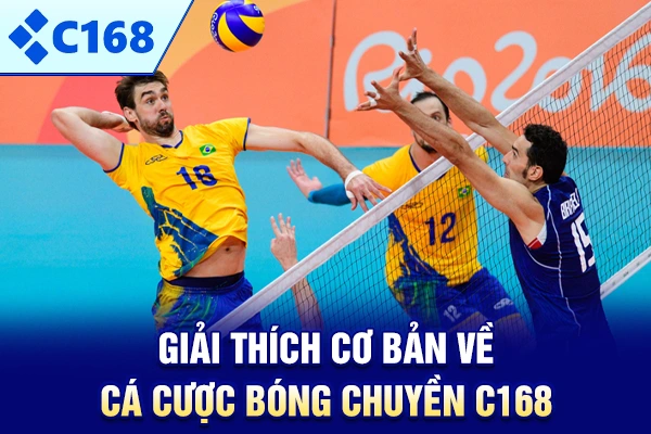 Giải thích cơ bản về cá cược bóng chuyền C168