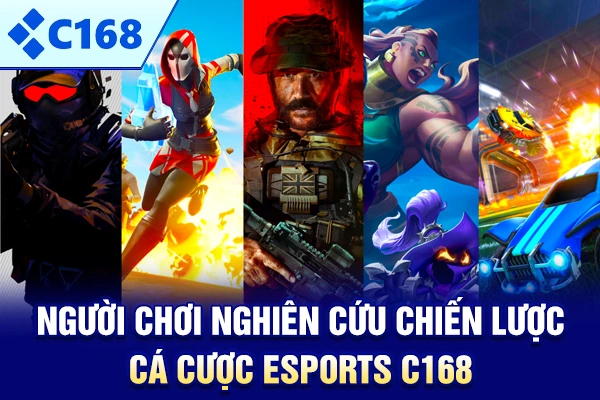 Người chơi nghiên cứu chiến lược cá cược Esports C168
